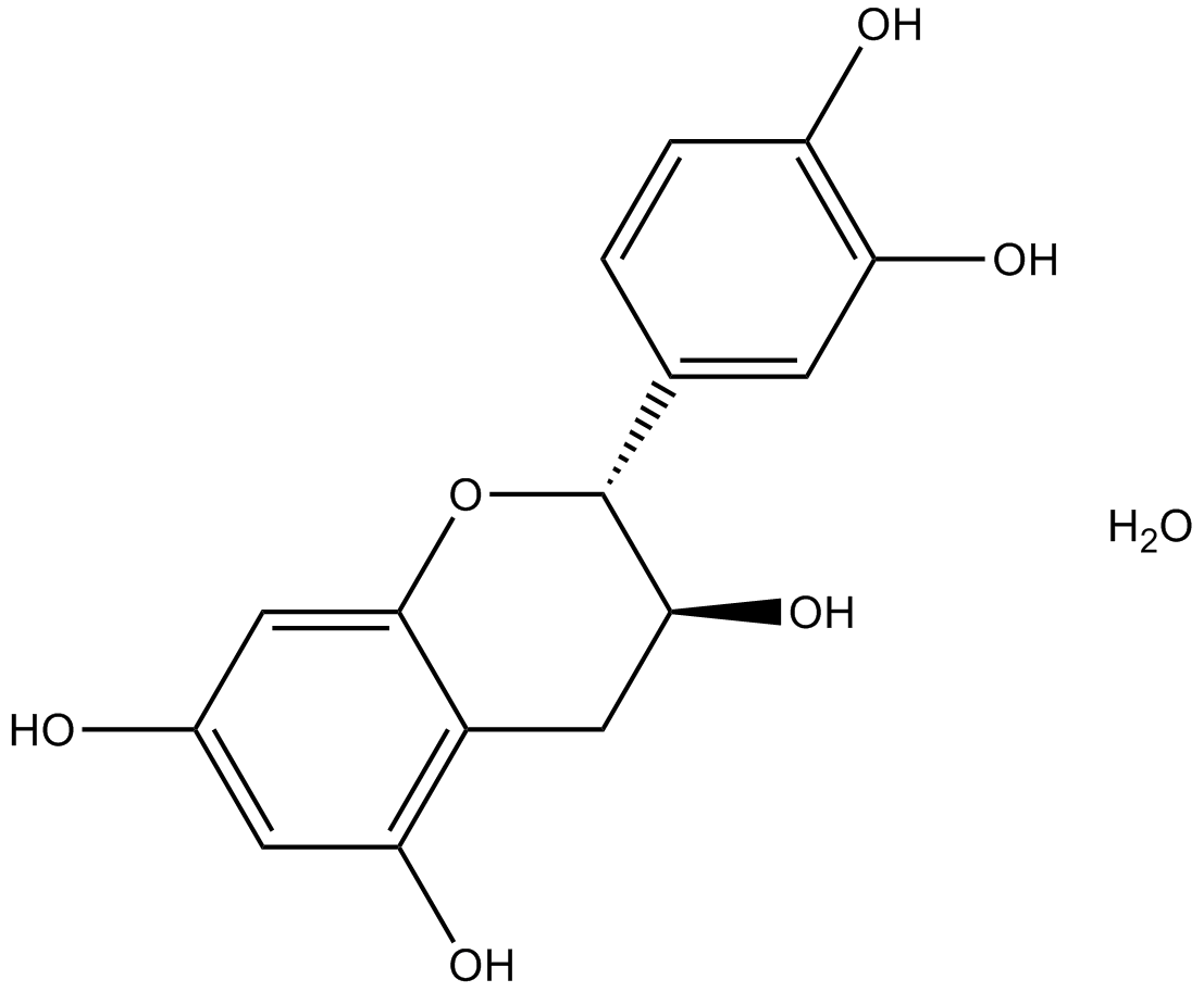 (+)-Catechin hydrate 化学構造