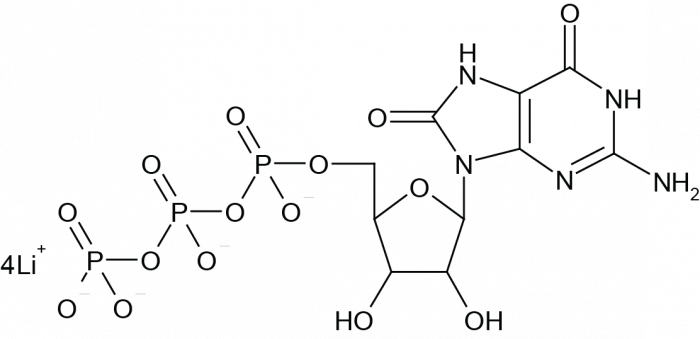 8-Oxoguanosine-5'-Triphosphate 化学構造