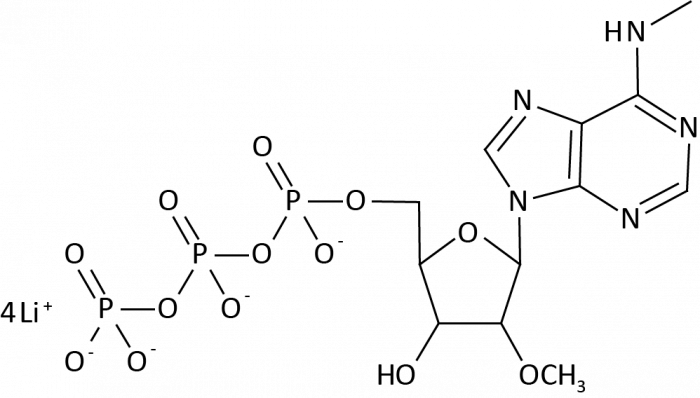 2'-O-Methyl-N6-Methyladenosine-5'-Triphosphate التركيب الكيميائي