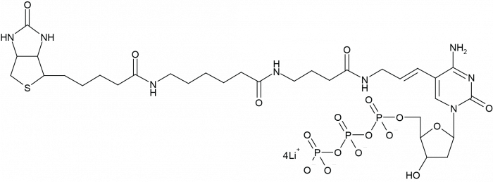 Biotin-16-Aminoallyl-2'-dCTP 化学構造