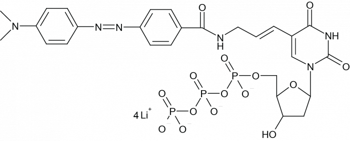 Dabcyl-5-3-Aminoallyl-2'-dUTP Chemical Structure