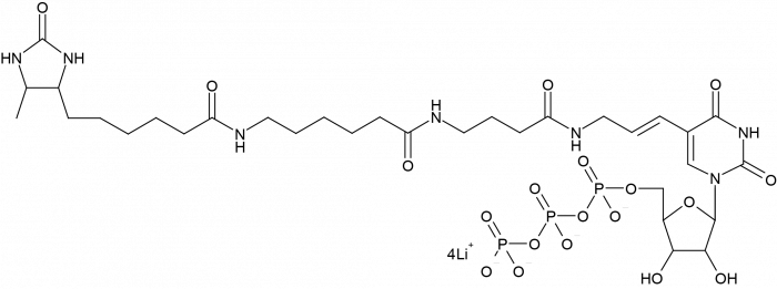 Desthiobiotin-16-Aminoallyl-Uridine-5'-Triphosphate Chemische Struktur