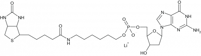 5'-Biotin-dG-Monophosphate Chemical Structure