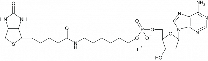 5'-Biotin-dA-Monophosphate التركيب الكيميائي