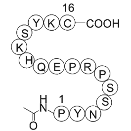 Nitric Oxide Synthase (599-613) Blocking Peptide, Bovine Endothelial Cell  Chemical Structure