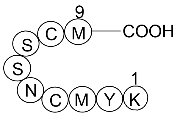 p53 tumor suppressor fragment  Chemical Structure