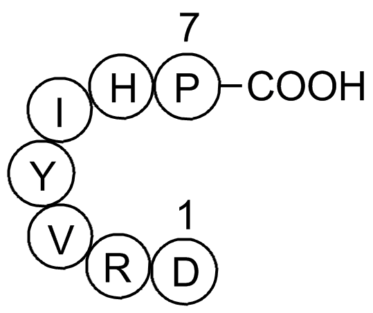 Angiotensin (1-7)  Chemical Structure