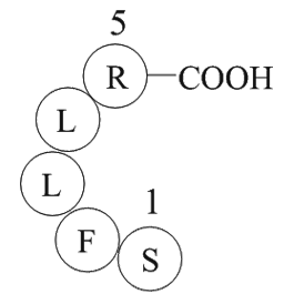 Thrombin Receptor Activator for Peptide 5 (TRAP-5)  Chemical Structure