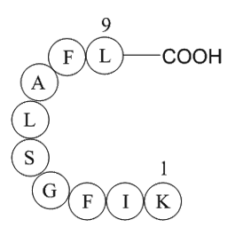 erbB-2  Chemical Structure