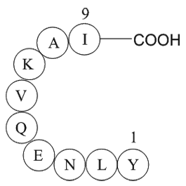 ferritin heavy chain fragment [Multiple species]  Chemical Structure